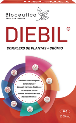 Diebil