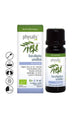 ÓLEO ESSENCIAL EUCALYPTUS SMITHII (Encomendar por email)*