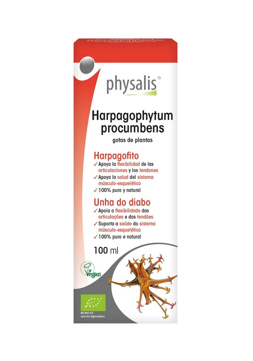 Harpagophytum Procumbens