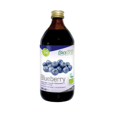 Blueberry (mirtilo) Sumo Concentrado 500 mL