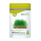 Wheat Grass (Erva Trigo) (Pó) BIO